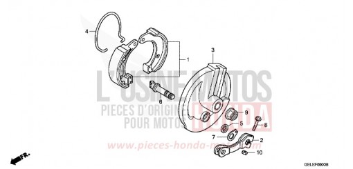 BREMSPLATTE, VORNE CRF50FA de 2010